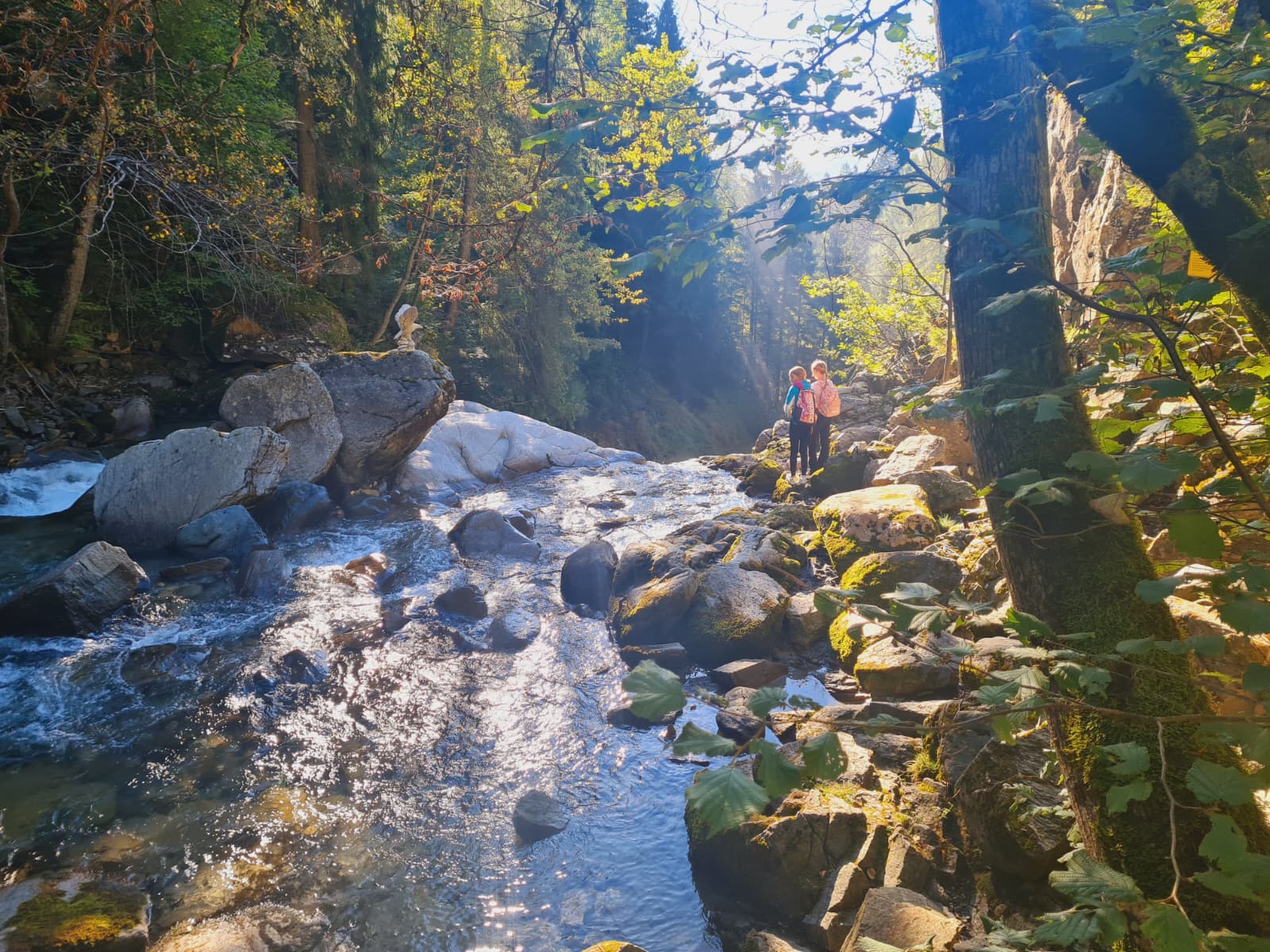 WhatsApp Image 2025 11 04 at 121053 1